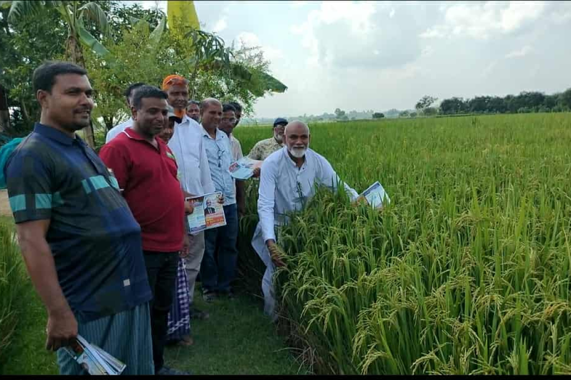 চাঁপাইনবাবগঞ্জ-২ আসনে বিএনপি প্রার্থী ইঞ্জিঃ মাসুদের বাড়ি-বাড়ি লিফলেট বিতরণ