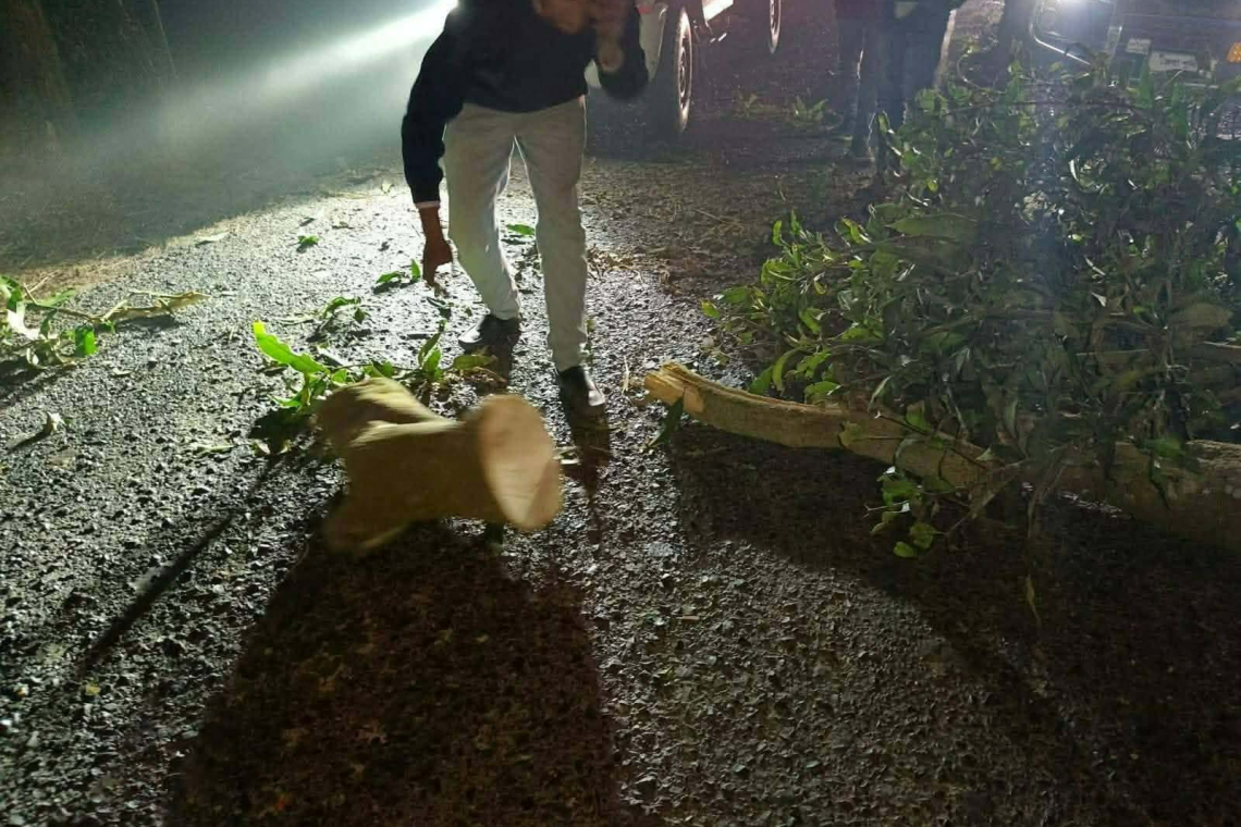 গোমস্তাপুরে আঞ্চলিক সড়কে গন ডাকাতি।। ডাকাতের হামলায় আহত.-১