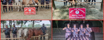 ঈদকে সামনে রেখে ৫৩ বিজিবির পৃথক অভিযান: ১৪ ভারতীয় গরু ও ৩৫ বোতল মদ জব্দ