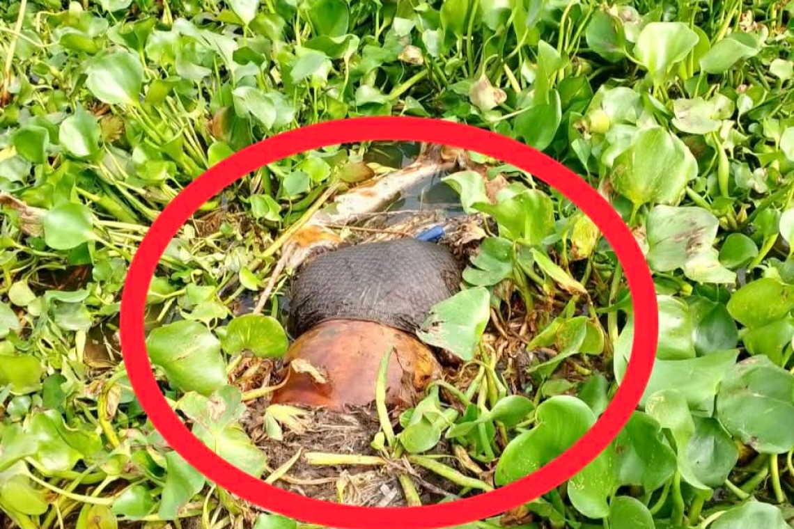 মহানন্দা নদী থেকে অজ্ঞাত যুবকের লাশ উদ্ধার