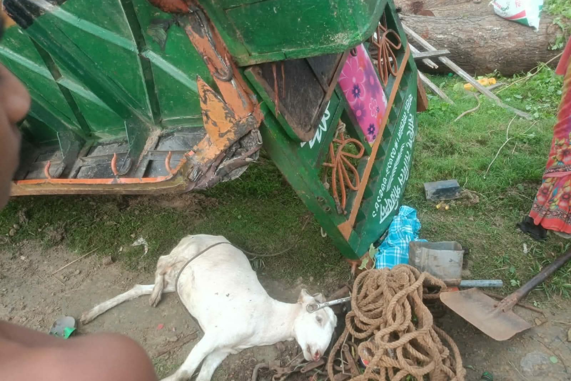 নাচোলে অরক্ষিত রেলক্রসিংয়ে ট্রেনের ধাক্কায় পাওয়ার টিলারচালক নিহত, গেটম্যানের দাবিতে ক্ষোভ