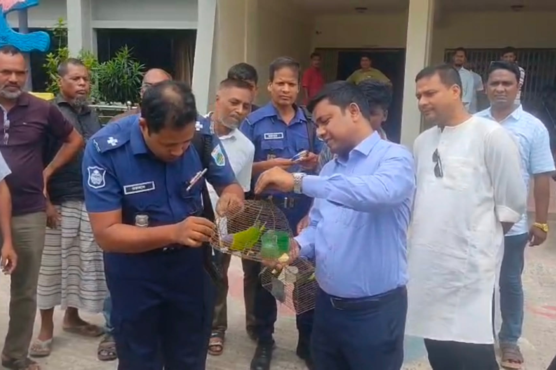চাঁপাইনবাবগঞ্জে পাখি শিকারের দায়ে জরিমানা, অবমুক্ত টিয়াপাখি