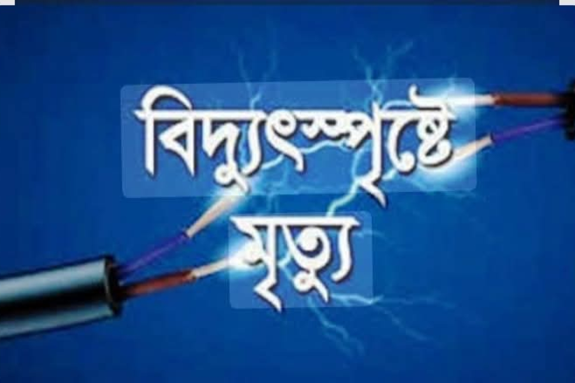 শিবগঞ্জে মাছের হাউসে বিদ্যুৎ সংযোগ দিতে গিয়ে যুবকের মৃত্যু
